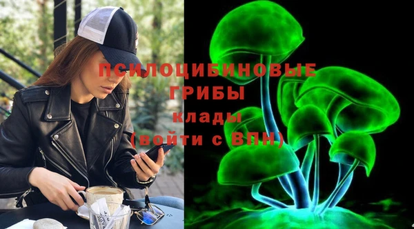 героин Алексин